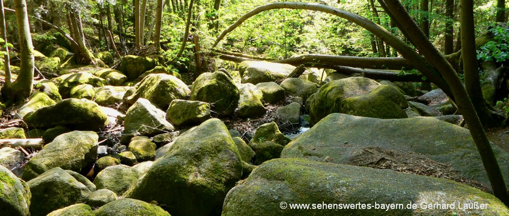 Bayerischer Wald Wanderurlaub in der Oberpfalz und in Niederbayern