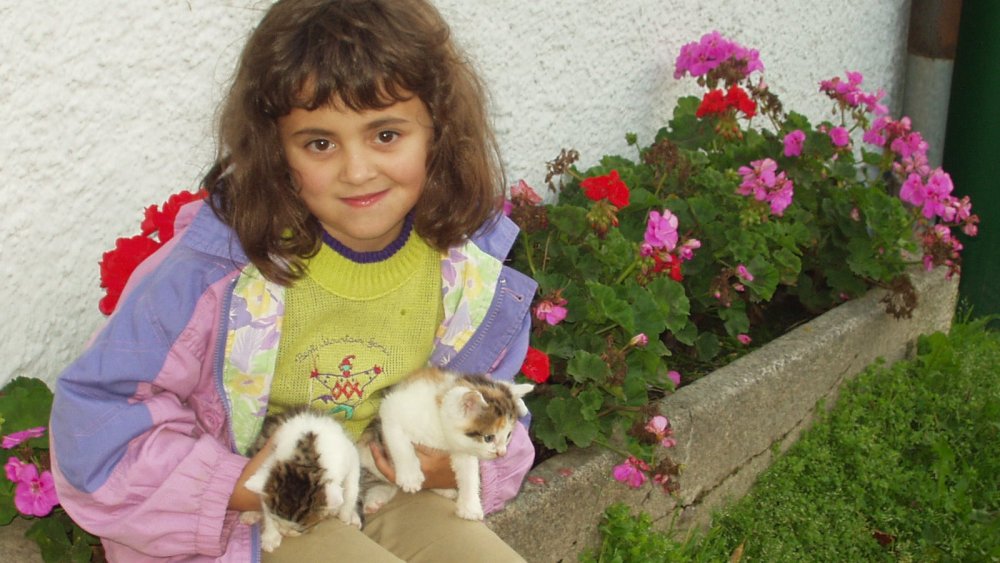 wagner-bauernhof-familienfreundlich-bayren-kinder-katzen