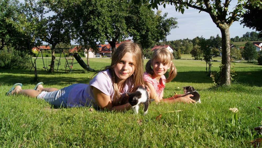 wagner-bauernhofurlaub-kinderferien-familienfreundlich-bayerischer-wald
