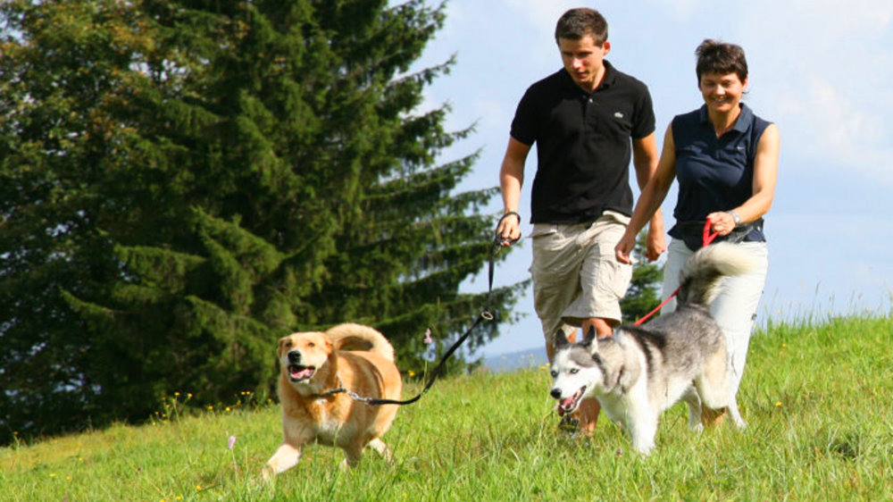 Hunde erlaubt im Bayerischer Wald Hotel mit Hund und Kind Urlaub