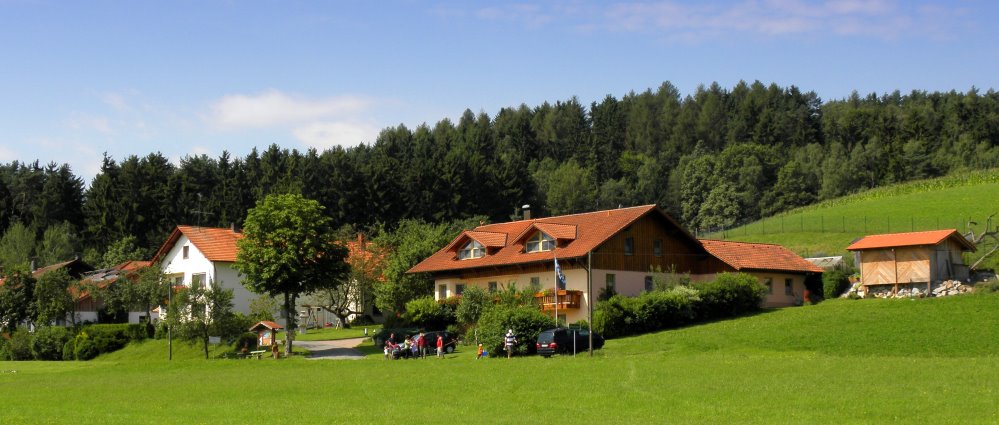 Italienerin Riesentitten Wald Kuessen