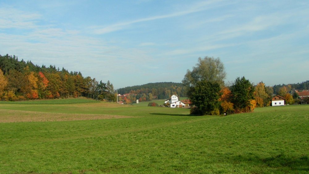 aubauernhof-bayerischer-wald-landschaft-bauernhofurlaub