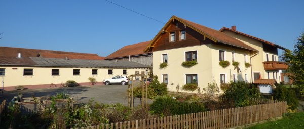Bauernhof mit Ponys zum Reiten und pflegen