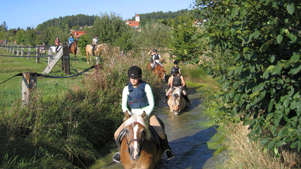 fuchsenhof-reitschule-bayern-reitferien-ausreiten