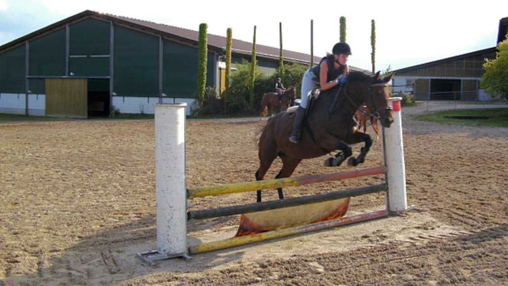 fuchsenhof-reitschule-bayern-reitunterricht-dressur-springen