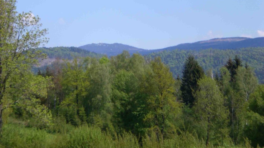 hamberger-ferienhaus-bayerischer-wald-wanderurlaub-berge-aussicht