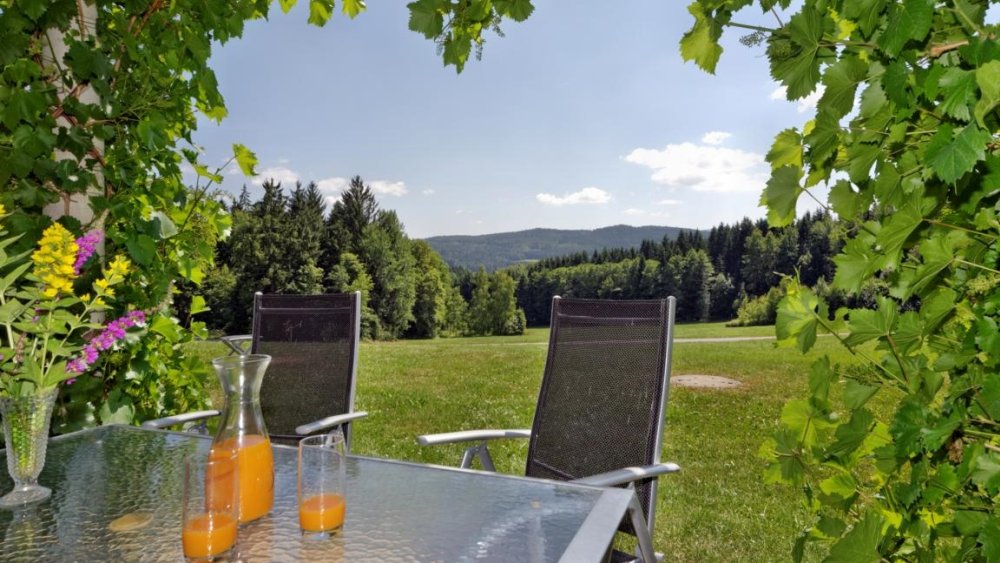 hamberger-ferienhaus-terrasse-liegewiese-ruhige-lage-bayerischer-wald