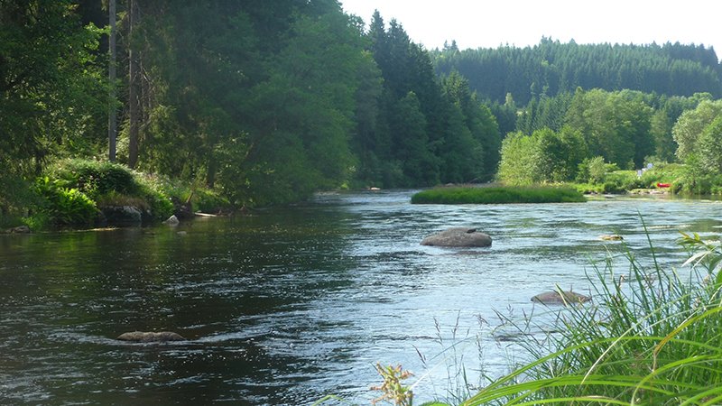 muhr-bauernhof-bayerischer-wald-fluss-landschaft