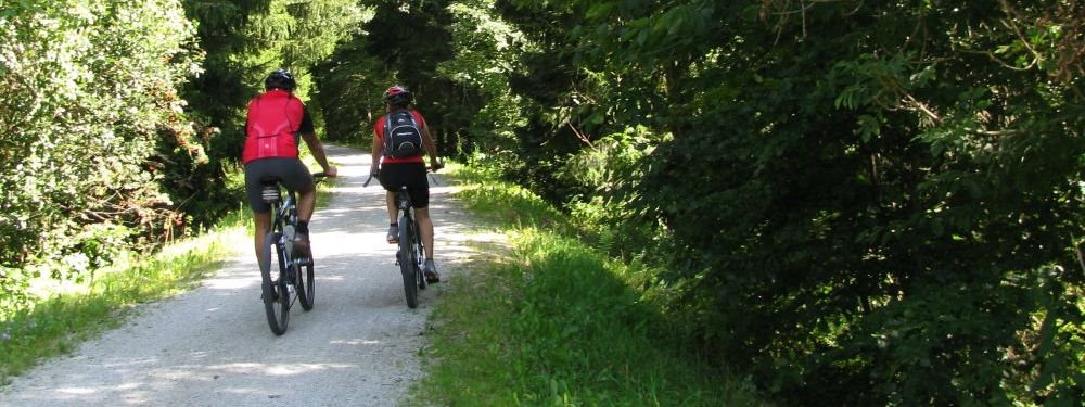 pannbauer-ferienhaus-bayerischer-wald-aktivurlaub-radfahren