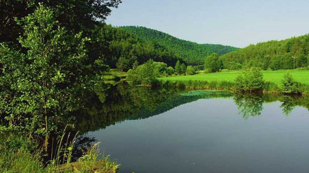 untermurnthal-oberpfalz-gruppenurlaub-oberpfaelzer-wald-landschaft