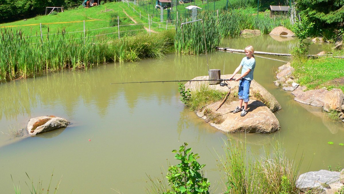 richards-almhuettenurlaub-bayerischer-wald-angelteich-landschaft