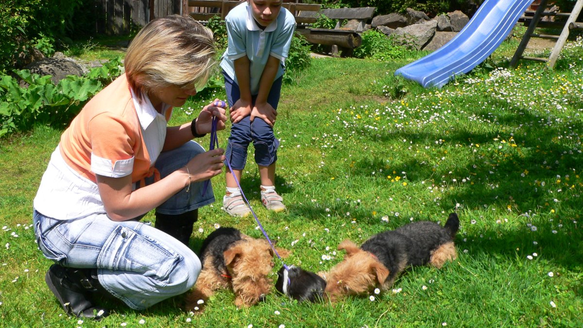 almhuettenurlaub-mit-hund-bayern-familienurlaub richards-almhuettenurlaub-mit-hund-bayern-familienurlaub