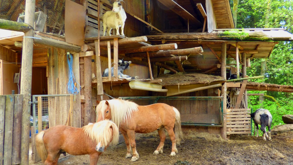 richards-jaeger-uriger-berghuettenurlaub-bayern-eingangsbereich