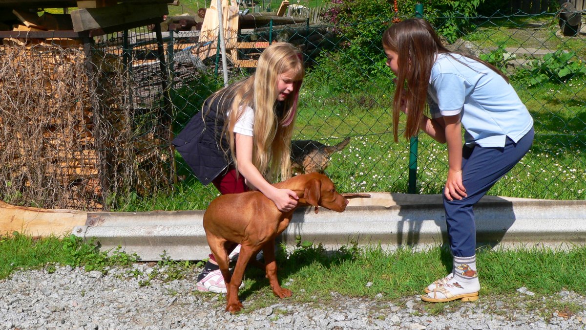 richards-berghuettenurlaub-mit-hund-deutschland-kinderfreundlich