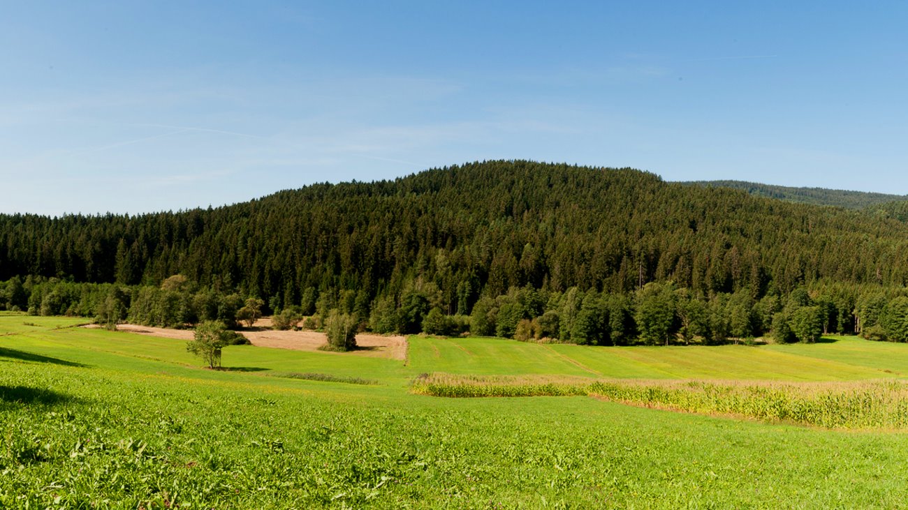 asbachtal-luxusferienhaus-bayerischer-wald-landschaft-aussicht-1300