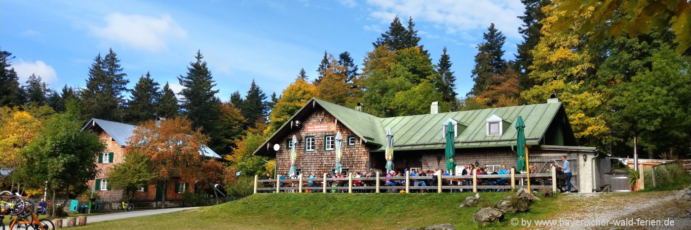 bayerischer-wald-berghütten-ausflugsziele-ferienhütten-wanderungen