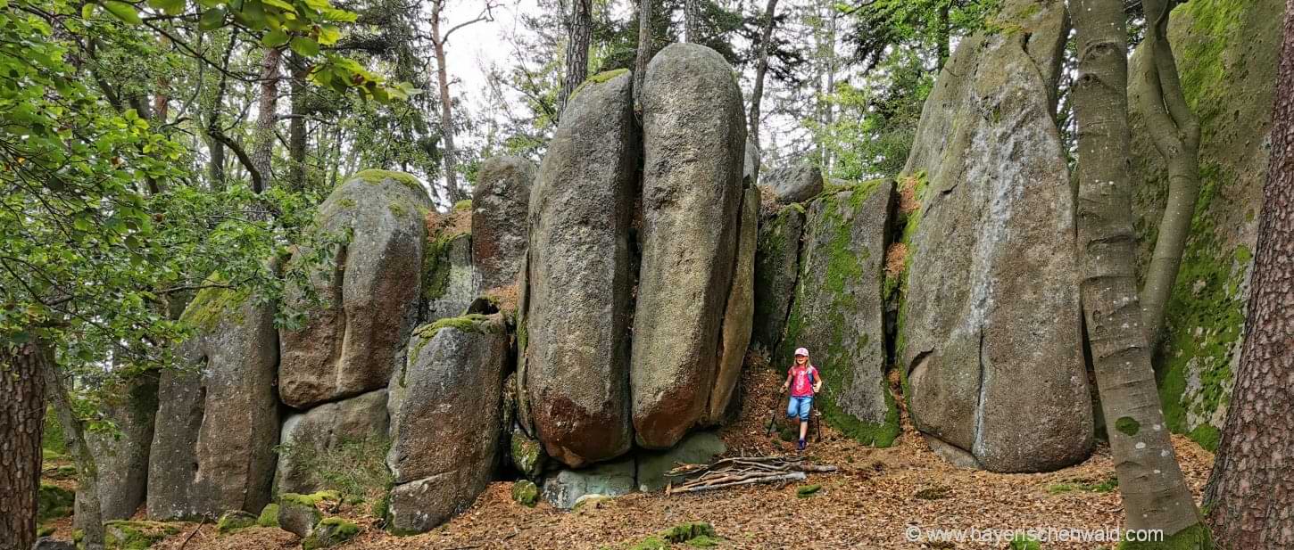 bayerischer-wald-highlights-felsen-hinkelsteine-attraktionen-wanderungen