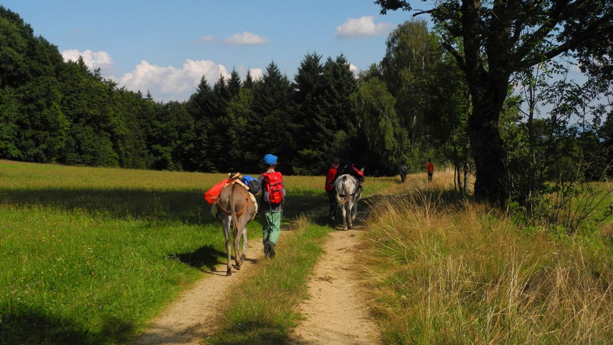 eselhof-bayerischer-wald-tiere-wanderungen-bayern-eseltouren