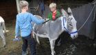 eselhof-erlebnisurlaub-bayern-wanderungen-kinder-eseltouren