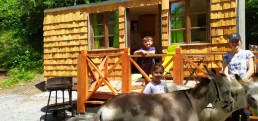 Eseltouren in Niederbayern Tinyhaus Hütte im Bayerischen Wald