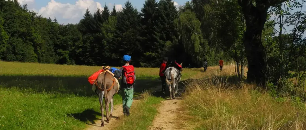 Eselwandern Bayerischer Wald Eseltouren in Niederbayern