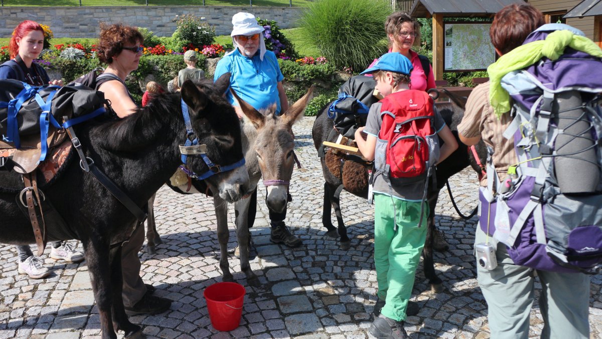 eselhof-wanderungen-eseltouren-gruppen-ausflug