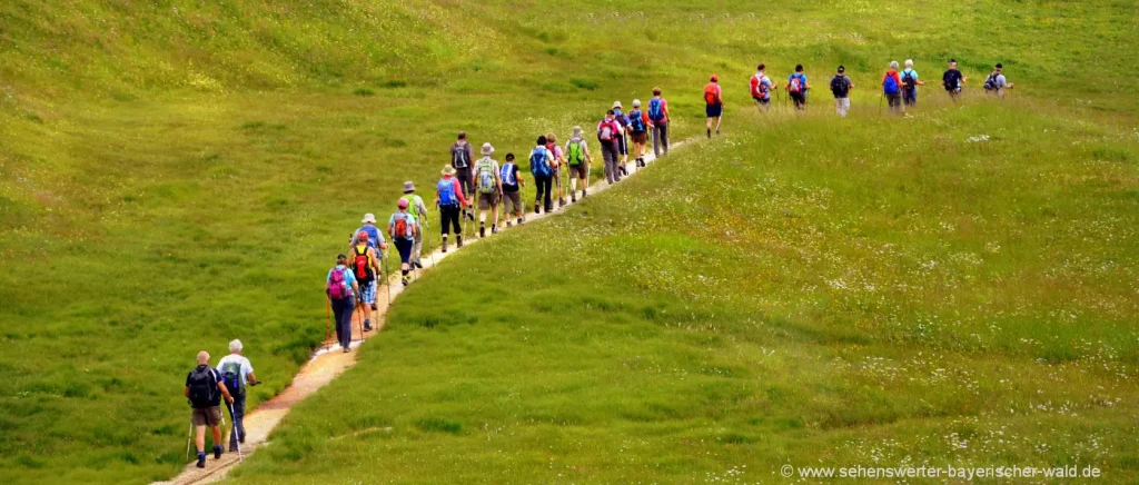 Bayerischer Wald Gruppenziele in Bayern Reiseziele für Gruppen