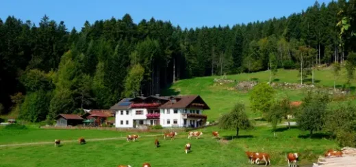 Bayerischer Wald Familienpension in Bayern Bergpension Hacker