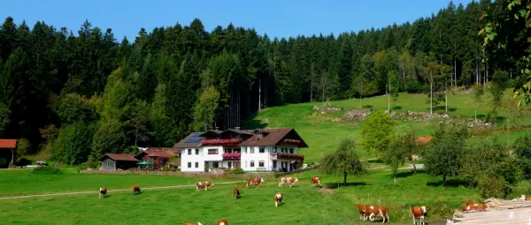 Bayerischer Wald Familienpension in Bayern Bergpension Hacker
