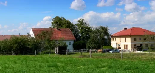 Bauernhof in Walderbach Unterkunft Ferienwohnung Reichenbach