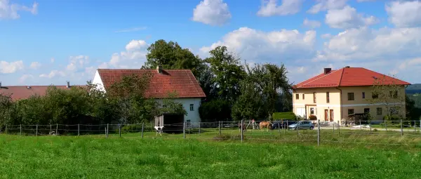 Bauernhof in Walderbach Unterkunft Ferienwohnung Reichenbach