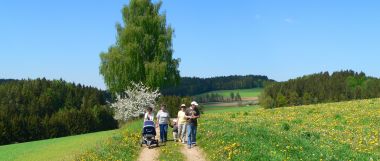 hiking Bavarian Forest nature Bavaria climbing