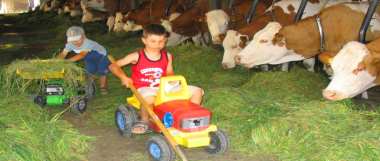 holiday on a farm Bavarian Forest farm holiday