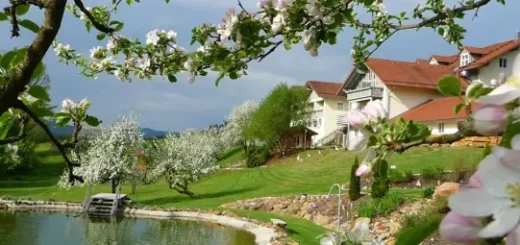 Familien Hotel am See Bayerischer Wald kleines Landhotel in Bayern