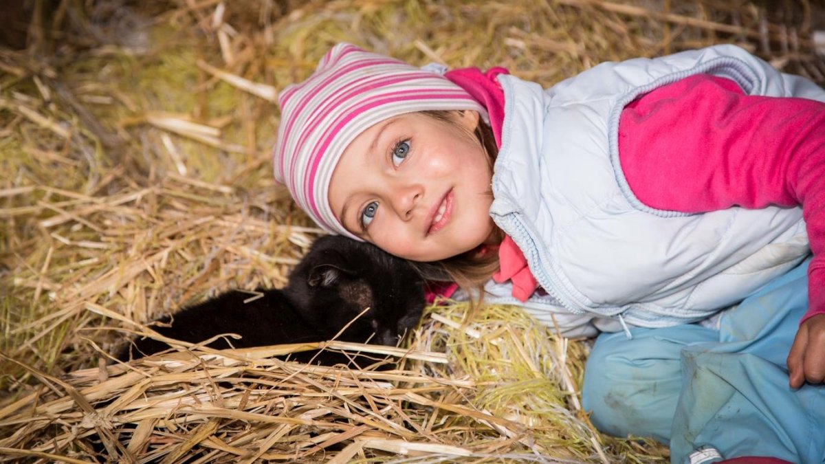 piendl-bauernhofurlaub-bayerischer-wald-katzen-streicheln