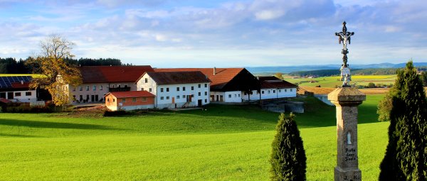 Urlaub Auf Dem Bauernhof Mit Hund