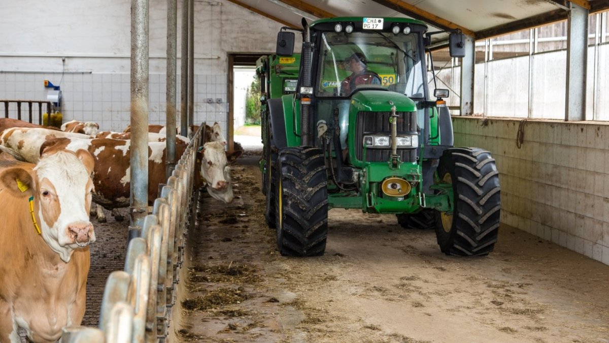 piendl-kinderbauernhof-traktor-fahren-kuhstall-tiere