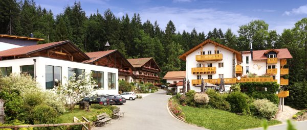 Singles schwandorf umgebung