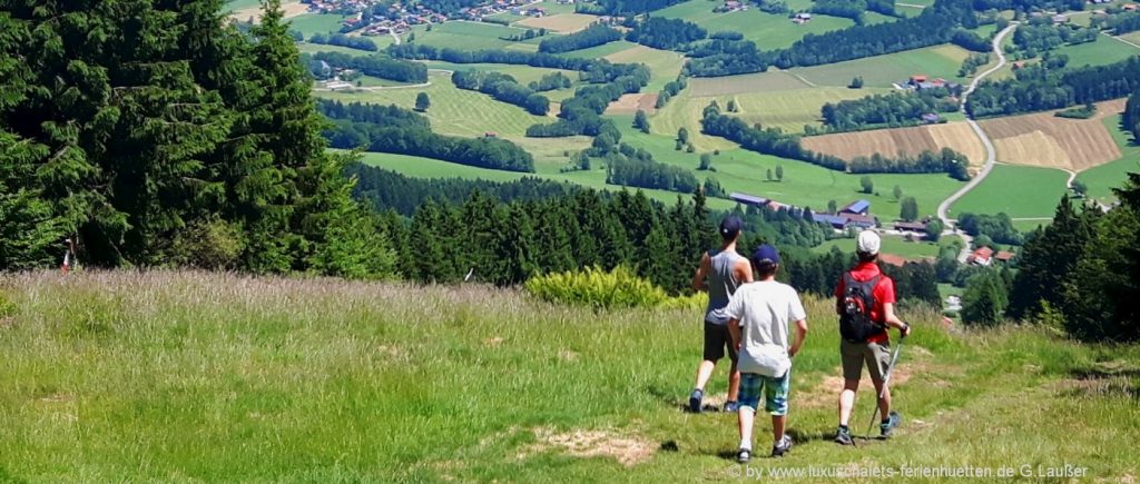 wanderurlaub-bayerischer-wald-familien-wandertouren-tipps