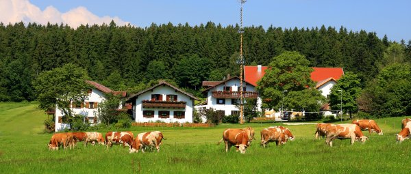 wieshof-bayerischer-wald-biobauernhof-bayern