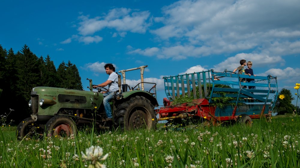 bayerischer-wald-biobauernhof-kinderurlaub-traktor-mitfahren wieshof-bayerischer-wald-biobauernhof-kinderurlaub-traktor-mitfahren